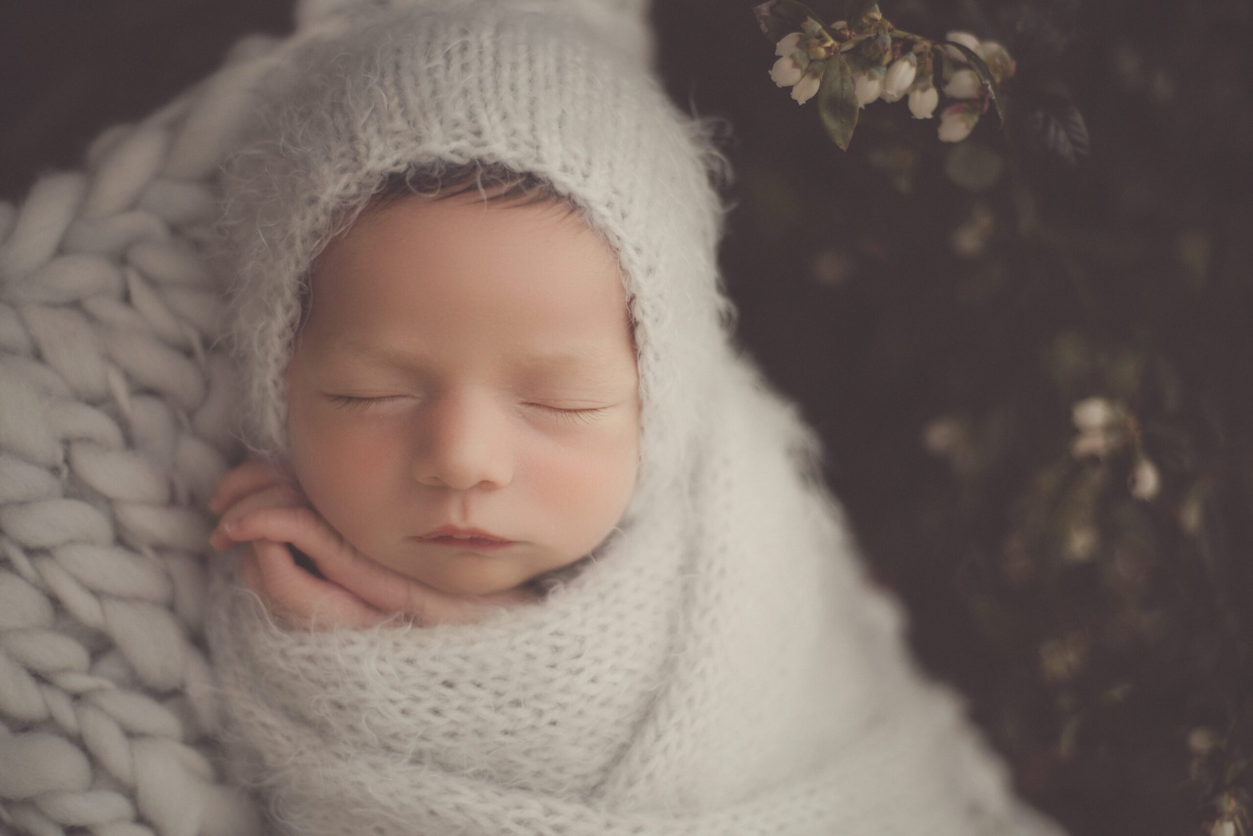 Newborn baby with gray bonnet posed by a blueberry bush